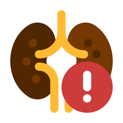 kidney